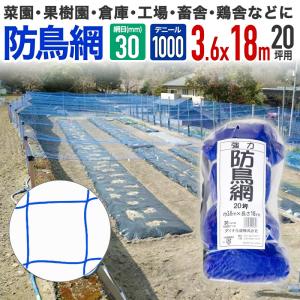 ダイオ 強力防鳥網 ブルー 30mm目 200坪 18mx36m 1000D 農園芸用 糸が