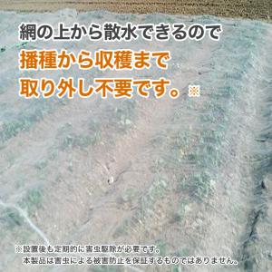 公式 農園芸用 銀糸入り防虫ネット 透光率 9...の詳細画像5