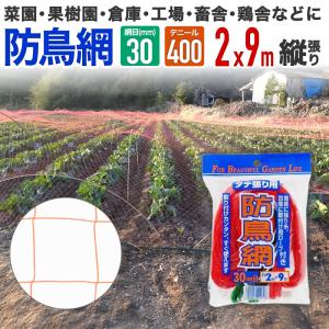 ダイオ 公式 防鳥網 オレンジ 30mm目 10坪 3.6mx9m 400D 農園芸用 やや