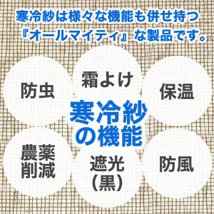 公式 農園芸用 寒冷紗 遮光率 22% サイズ...の詳細画像1