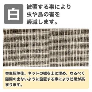 公式 農園芸用 寒冷紗 遮光率 22% サイズ...の詳細画像3