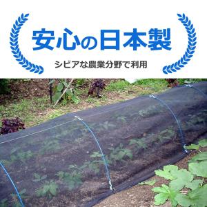 公式 農園芸用 寒冷紗 遮光率 22% サイズ...の詳細画像4