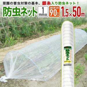 ハクリョク 600cm 15m 農POフィルム 両面仕様 遮熱 遮光 フィルム MKV