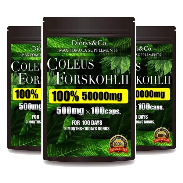 3袋セット フォースコリー コレウスフォルスコリ 100％ 1粒500mg 100カプセル 100日...