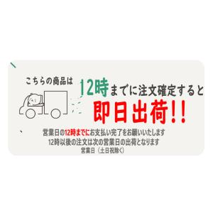 【即日配送】iPhone XR XS Max ...の詳細画像1