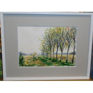 絵画 油絵 小澤勇寿郎 作 パリ・テルトル広場 6号サイズ インテリア