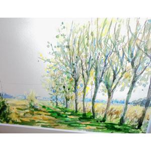 絵画 水彩画 横尾武之 作 「東浦和の稲架木 ...の詳細画像1