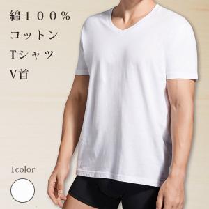 V首コットンTシャツ 送料込み 綿100% メンズ半袖 白い 白 Vネック 無地 ホワイト お試し M L LL 直facオリジナル商品