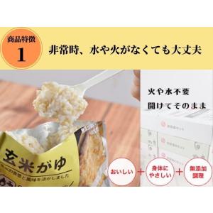 石井食品 公式 非常食 セット 3食分 Aセッ...の詳細画像5