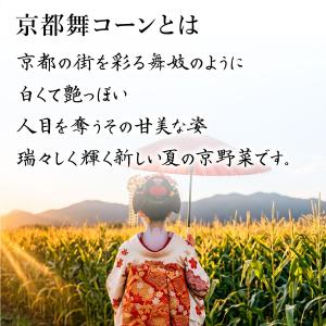 石井食品 公式 京都舞コーンスープ 2袋 常温...の詳細画像1