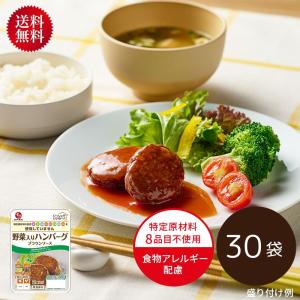 【30袋 送料無料】石井食品 いっしょがいいね 野菜入りハンバーグブラウンソース 30袋 食物アレルギー配慮 ハンバーグ 常温保存可能 【1個あたり237円】