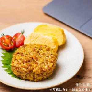 石井食品 佰にぎりおためしセット(3種×2袋)...の詳細画像1