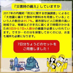 非常食 7日分 45品セット 4年保存 石井食...の詳細画像1