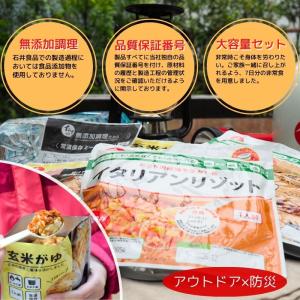 非常食 7日分 45品セット 4年保存 石井食...の詳細画像3