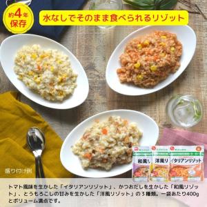 非常食 7日分 45品セット 4年保存 石井食...の詳細画像4