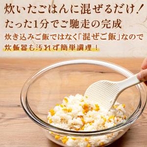 とうもろこし混ぜご飯の素 2合用×3個 北海道...の詳細画像3