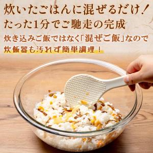 5種野菜の混ぜご飯の素 2合用×3個 国産野菜...の詳細画像4