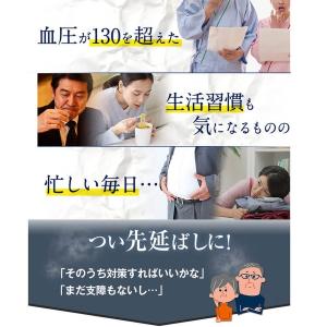 ヘルケア 血圧サプリ 4粒×30袋入 特定保健...の詳細画像2