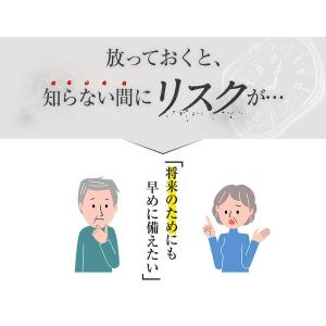 ヘルケア 血圧サプリ 4粒×30袋入 特定保健...の詳細画像5
