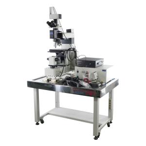 [DW]USED 8日保証 OLYMPUS MX50T-F Microscope 顕微鏡 WH15×/14 5×/0.15 10×/0.30 20×/0.45 50×/0.80 50×A/0.40 ACア...[05668-0001]｜dirwings