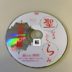 聖なるふくらみ/佐藤聖羅