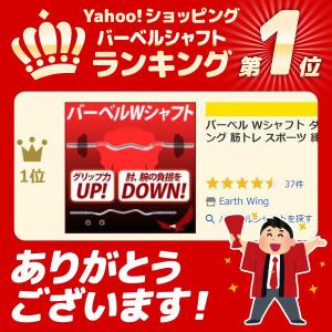 バーベル Wシャフト ダンベル ダブルシャフト...の詳細画像1