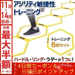 トレーニングラダー トレーニング ラダー 6枚セット ハードル スピードヘキサゴン 子供 大人 野球 サッカー 陸上 アジリティ スポーツ 練習 器具 用品 用具｜discount-spirits2