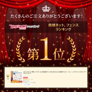 リバウンドネット サッカー リバウンダー サッ...の詳細画像1