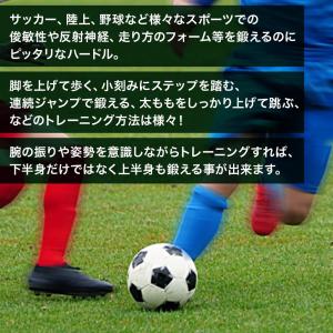 ハードル 練習用 陸上 ミニハードル ソフト ...の詳細画像3