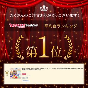 バランスストーン 11個 耐荷重80kg 平均...の詳細画像1