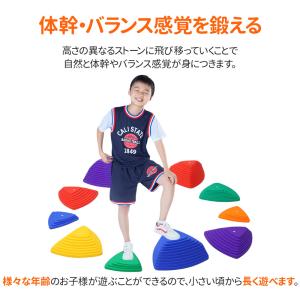 バランスストーン 11個 耐荷重80kg 平均...の詳細画像2