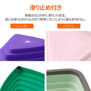 バランスストーン 11個 耐荷重80kg 平均...の詳細画像3