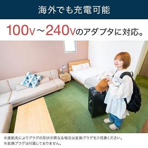 ポータブルテレビ フルセグ 車 ポータブルdv...の詳細画像5