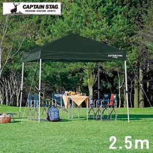 タープ テント 2.5m タープテント 庭 テント 簡単タープ