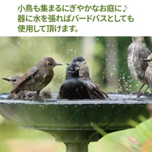 バードフィーダー バードウォッチング 鳥用品 ...の詳細画像2