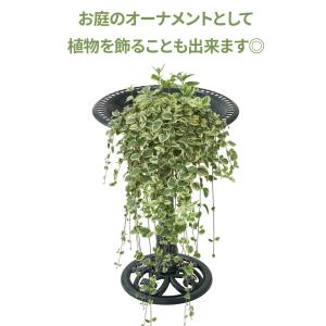 バードフィーダー バードウォッチング 鳥用品 ...の詳細画像3