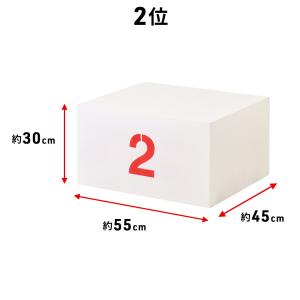 表彰台 ステージ 順位台 お立ち台 順位 運動...の詳細画像5