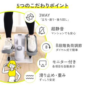 フィットネスバイク ミニ 静音 ステッパー 高...の詳細画像1