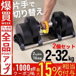 プロバーベル PROVERBELL 41.5kg 専用 シャフト 爆買 : ライシン Yahoo