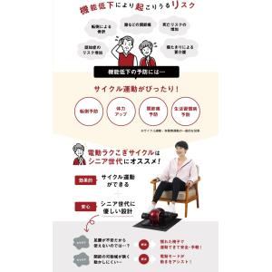 アルインコ ALINCO フィットネスバイク ...の詳細画像1