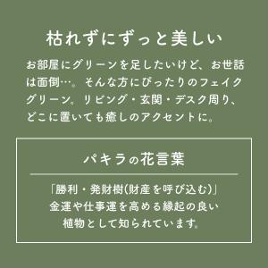 観葉植物 フェイクグリーン パキラ 40cm ...の詳細画像1