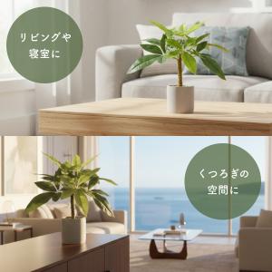 観葉植物 フェイクグリーン パキラ 40cm ...の詳細画像3
