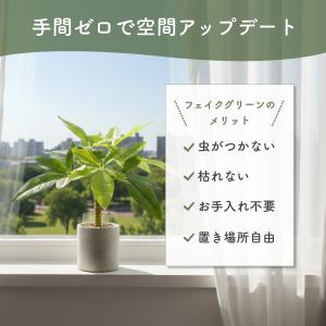 観葉植物 フェイクグリーン パキラ 40cm ...の詳細画像4