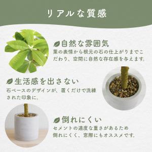 観葉植物 フェイクグリーン パキラ 40cm ...の詳細画像5