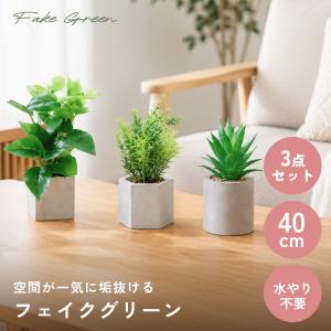 観葉植物 フェイクグリーン 3点セット ミニサイズ コンパクト リアル 鉢付き おしゃれ インテリア 枯れない リビング 玄関 オフィス 人工植物 造花 AGY0603GN