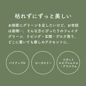 観葉植物 フェイクグリーン 3点セット ミニサ...の詳細画像1