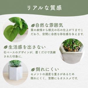観葉植物 フェイクグリーン 3点セット ミニサ...の詳細画像4