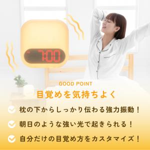 【テレビ紹介】 目覚まし時計 光 振動 音 H...の詳細画像2