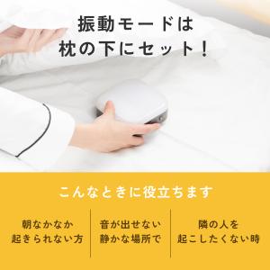 【テレビ紹介】 目覚まし時計 光 振動 音 H...の詳細画像5