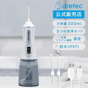 ドリテック 公式 口腔洗浄器 「ジェットクリーン」  大容量 防水 コードレス  充電ケーブル ノズル2個付き FS-100WT｜dish